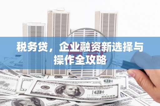 察右前旗税务贷，企业融资新选择与操作全攻略