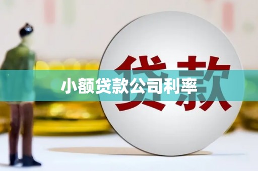 察右前旗小额贷款公司利率