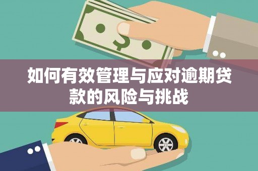 察右前旗如何有效管理与应对逾期贷款的风险与挑战