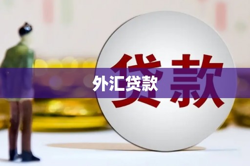 察右前旗外汇贷款