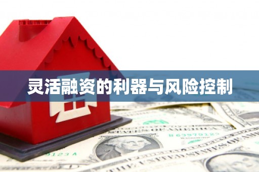 察右前旗灵活融资的利器与风险控制