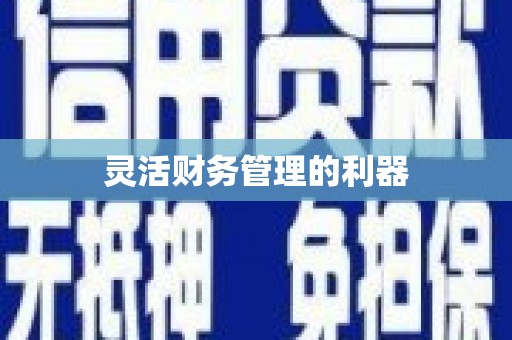 察右前旗灵活财务管理的利器
