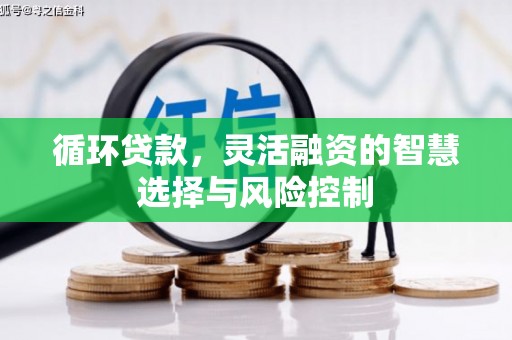 察右前旗循环贷款，灵活融资的智慧选择与风险控制