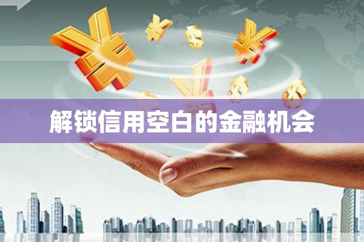 察右前旗解锁信用空白的金融机会